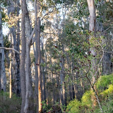 Jarrah Grove Forest Retreat - Adults Only Luxury Chalet Rosa Glen Esterno foto